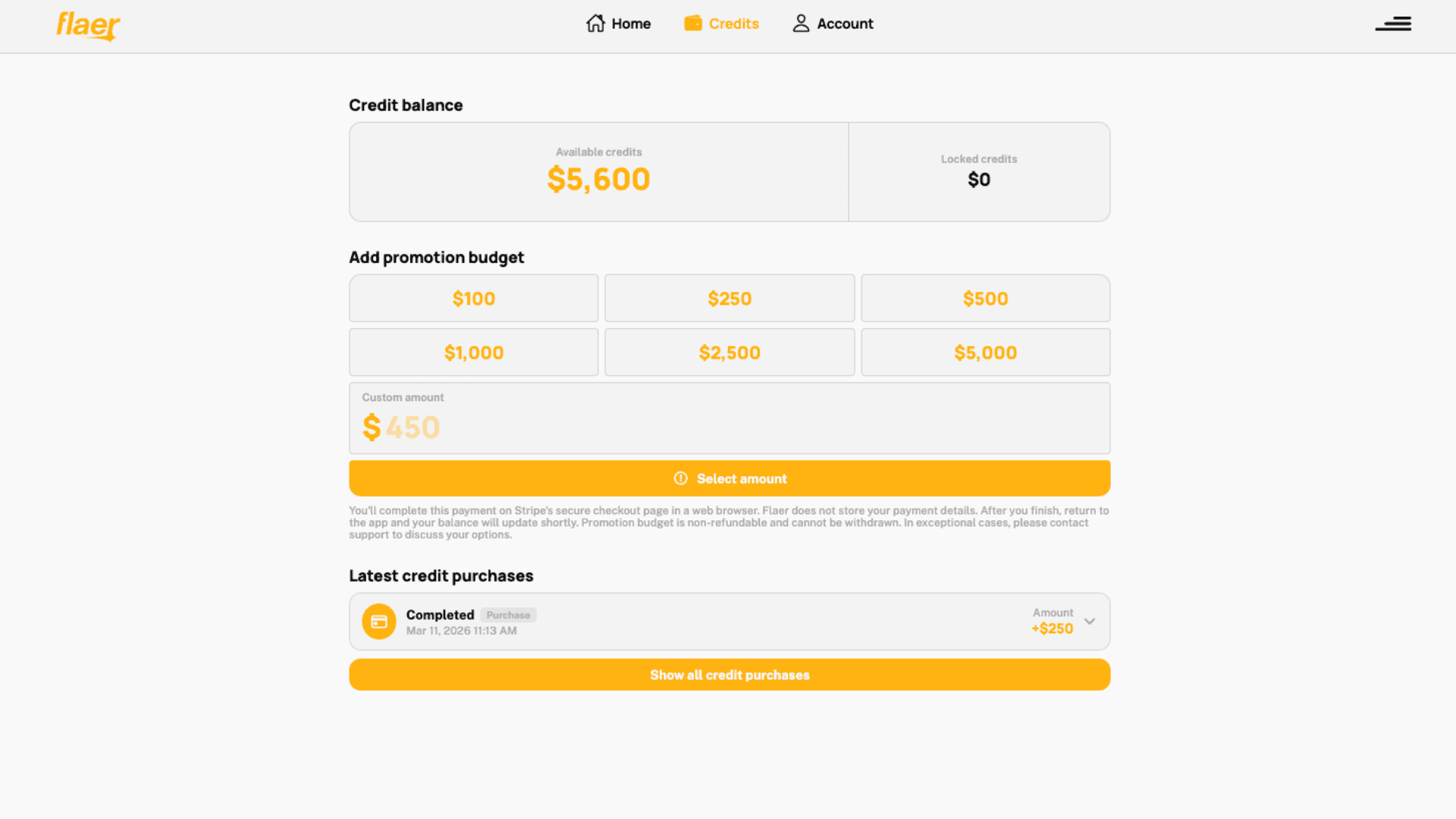 Flaer dashboard credits page showing $5,600 available balance, promotion budget options from $100 to $5,000, a custom amount field, and a completed $250 purchase